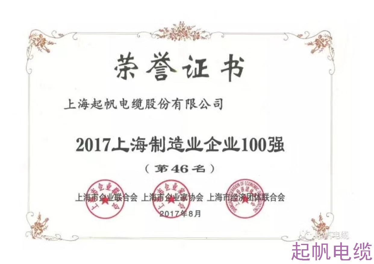 雷电竞ray官方网站
品牌-上海制造业百强企业