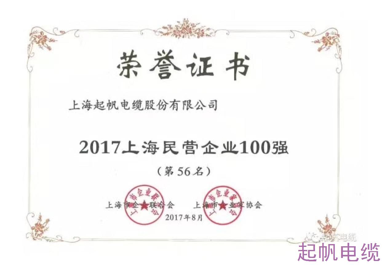 雷电竞ray官方网站
品牌-上海百强民营企业