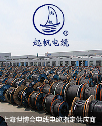 雷竞技电竞平台电缆