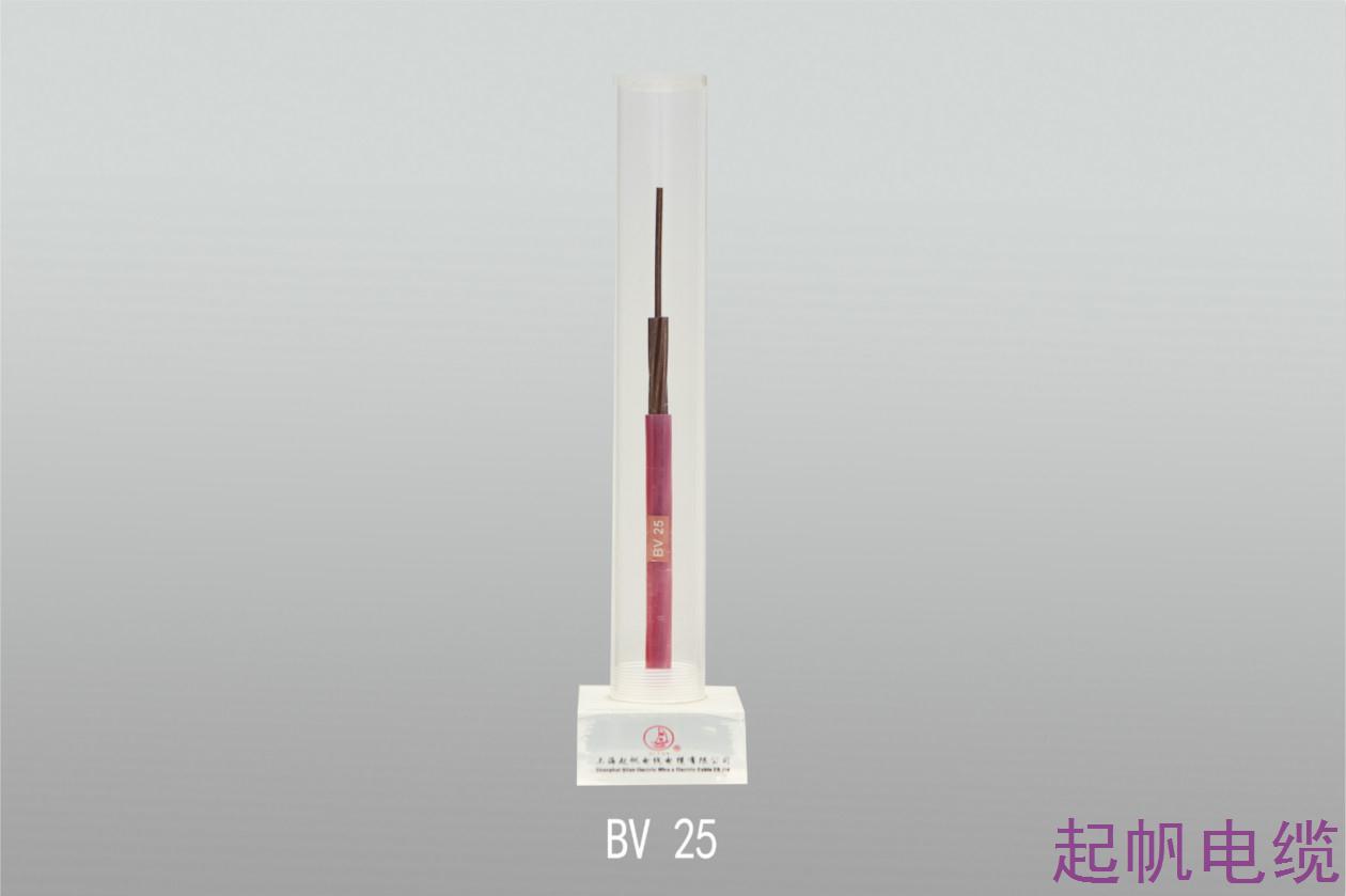聚氯乙烯绝缘护套电线,雷竞技电竞平台
电缆,bv电线